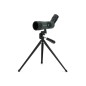 Luneta Terestra Celestron LandScout 50