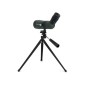 Luneta Terestra Celestron LandScout 50