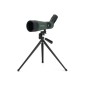 Luneta Terestra Celestron LandScout 60
