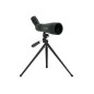 Luneta Terestra Celestron LandScout 60