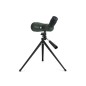 Luneta Terestra Celestron LandScout 60