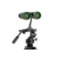 Celestron Nature DX 10x42