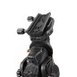 Montura Celestron CGX-L